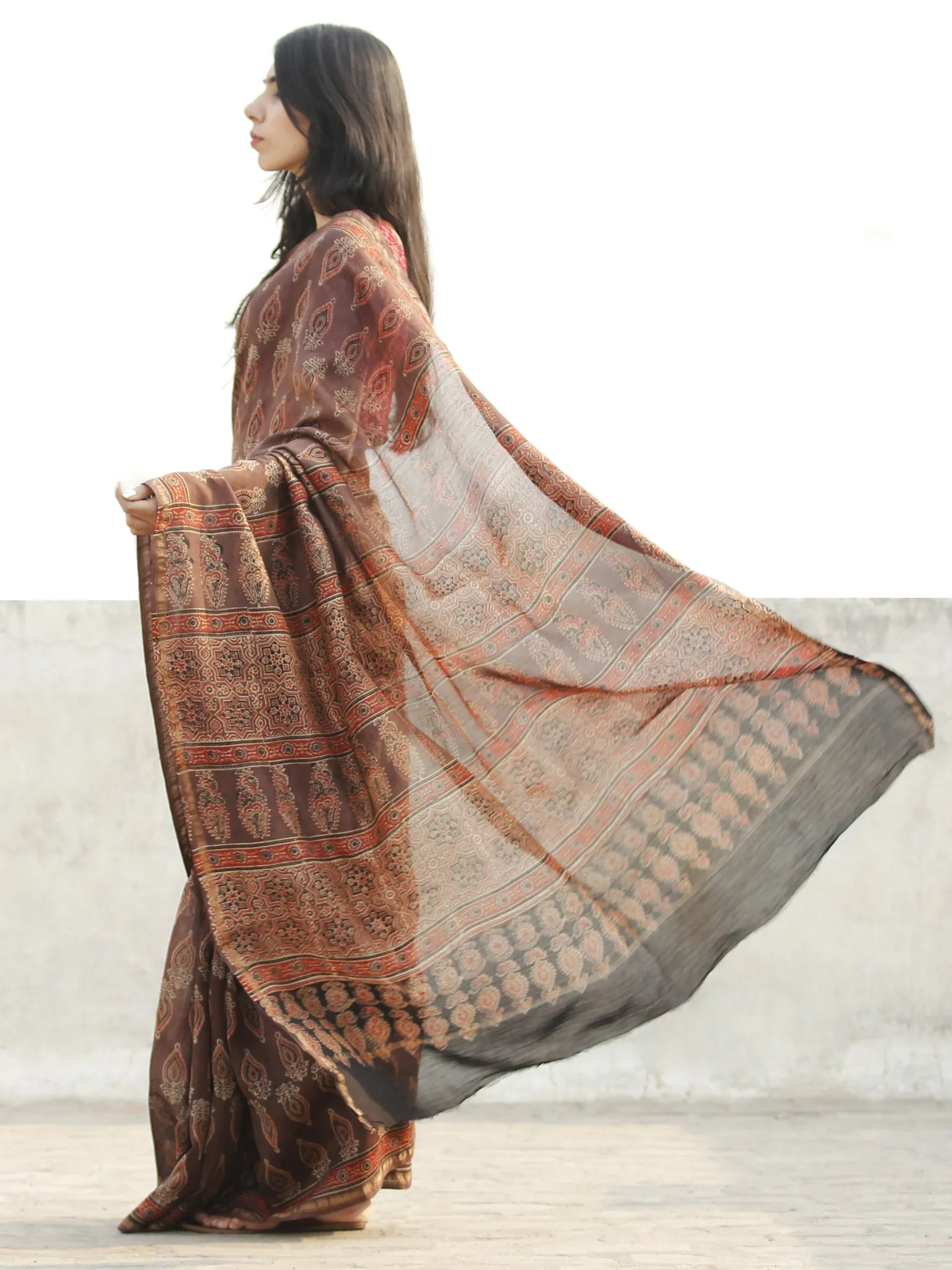 Brown Black Red Chanderi Silk Ajrakh Hand Block Printed Saree With Zari Border - S031702637