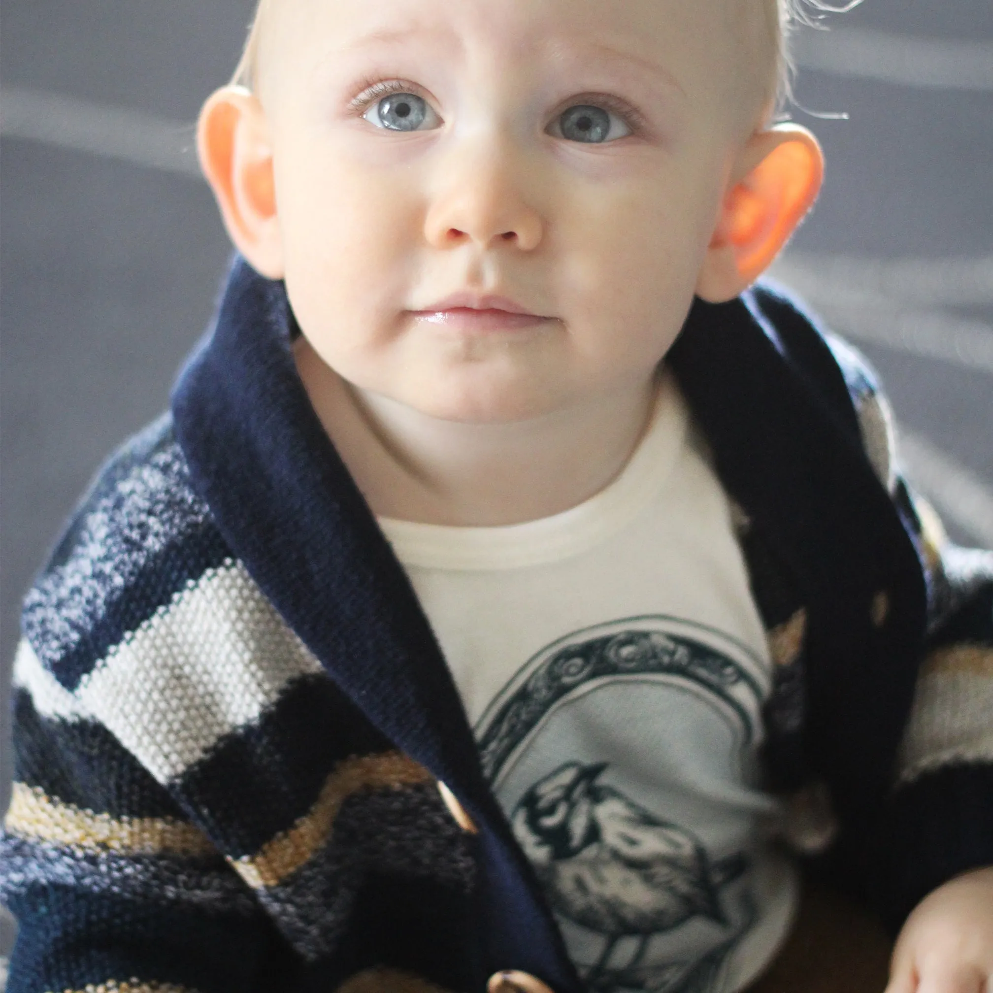 "the historian" in navy